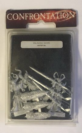 Confrontation Paladins Noirs