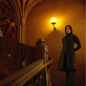 Serverus Snape Figura 15 cm Harry Potter S.H Figuarts