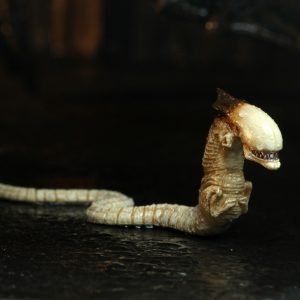 Alien Scale Action Figure Ultimate Dog Alien 3