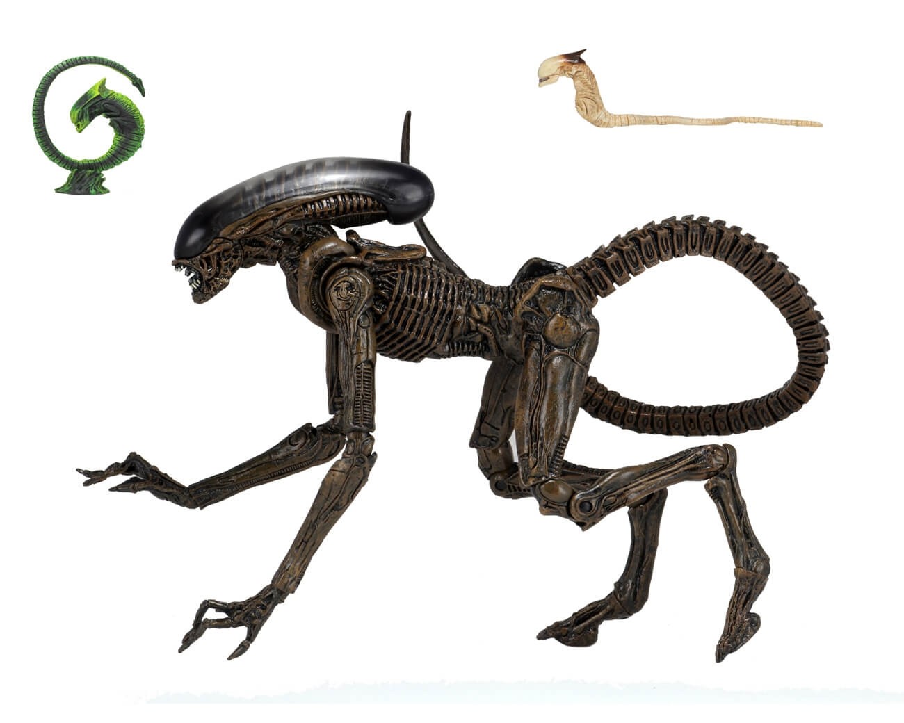 Alien Scale Action Figure Ultimate Dog Alien 3