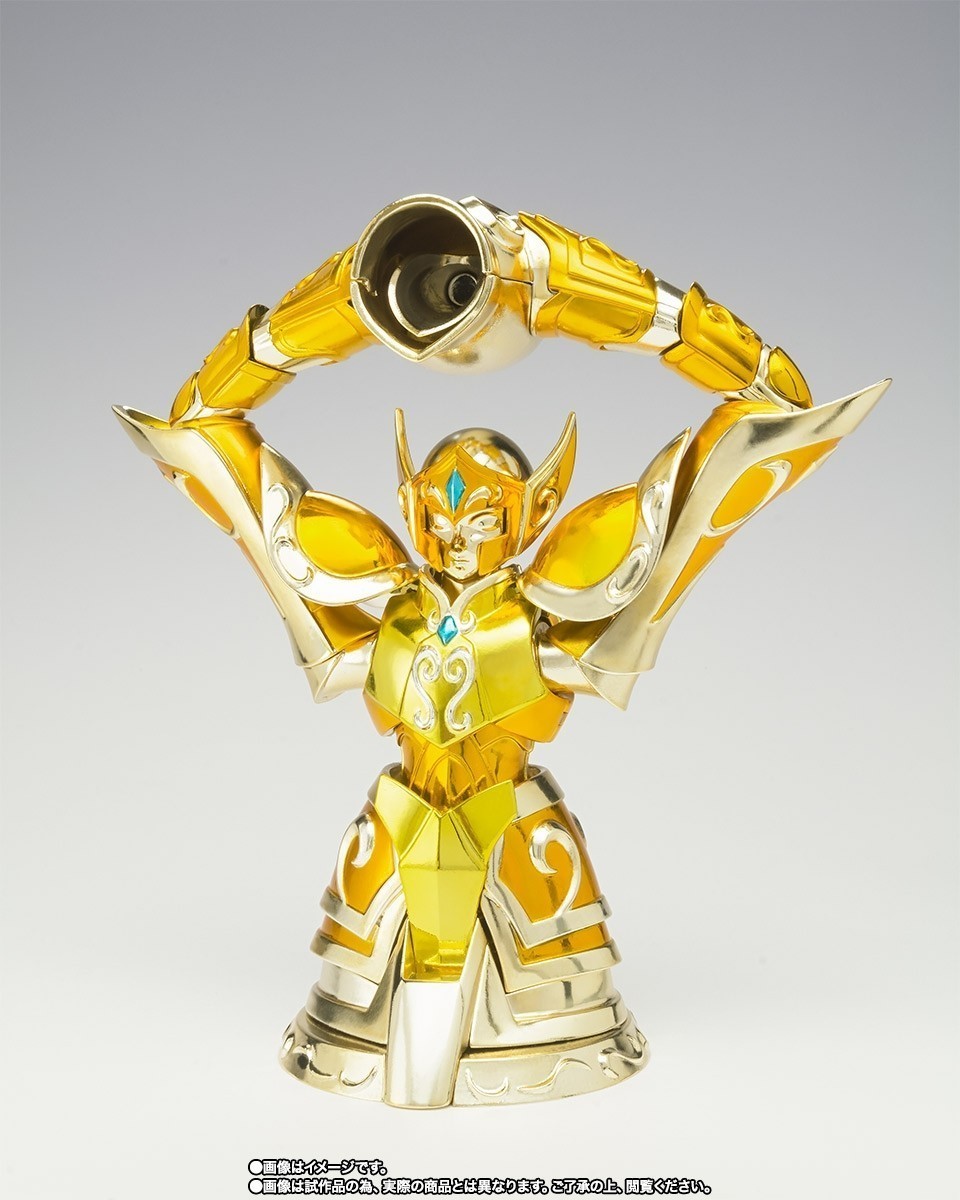 Hyoga Armadura Oro Acuario Saint Seiya Myth Cloth Ex