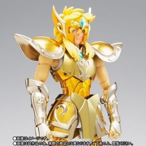 Hyoga Armadura Oro Acuario Saint Seiya Myth Cloth Ex