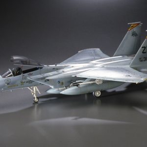 Hasegawa F-15C Eagle PT 49 Ref 07249