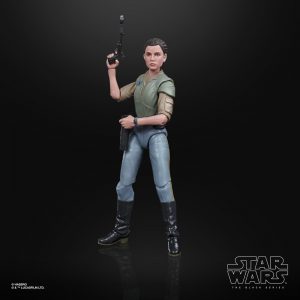 Star Wars The Black Series Princess Leia Organa Endor Figure