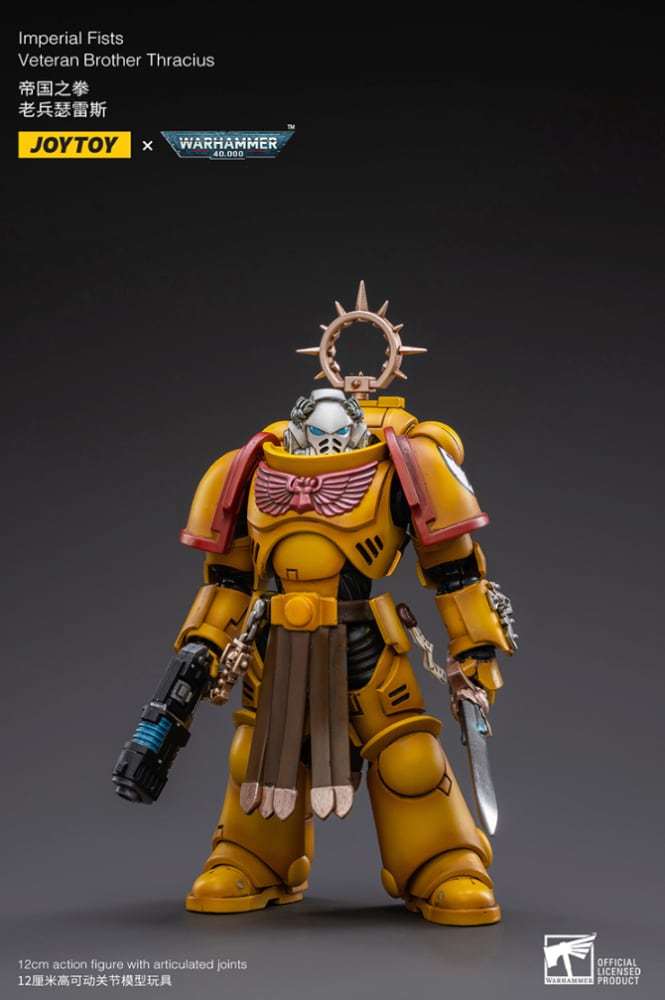Warhammer 40K Imperial Fists Veteran Brother Thracius