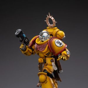 Warhammer 40K Imperial Fists Veteran Brother Thracius