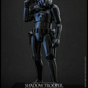 Star Wars Shadow Troopers with Death Star Environment Movie Masterpiece 1/6th Scale Collectible Figure