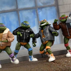 Punk Turtles Teenage Mutant Ninja Turtles Cartoon