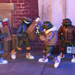 Punk Turtles Teenage Mutant Ninja Turtles Cartoon