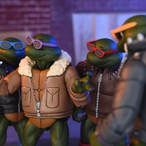 Punk Turtles Teenage Mutant Ninja Turtles Cartoon