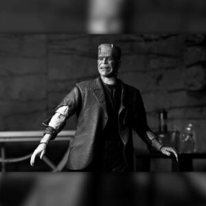 Ultimate Frankenstein’s Monster Black & White Bride of Frankenstein Universal Monsters