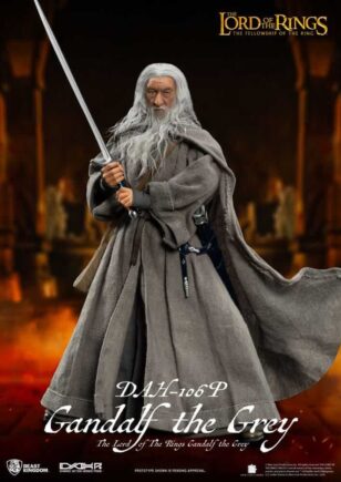 Gandalf The Grey The Lord of The Rings Dynamic 8ction Heroes