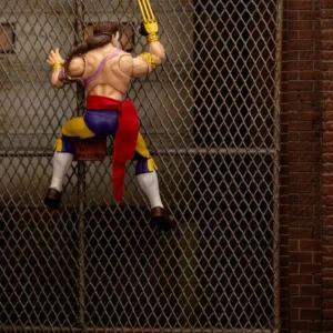 Vega Ultra Street Fighter II: The Final Challengers
