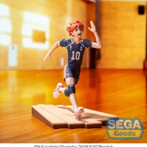 Shoyo Hinata Haikyu!! High Premium
