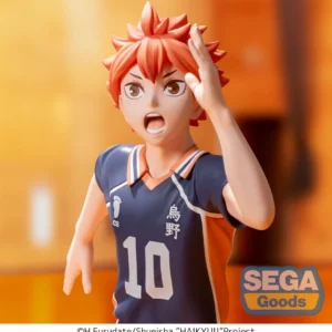 Shoyo Hinata Haikyu!! High Premium