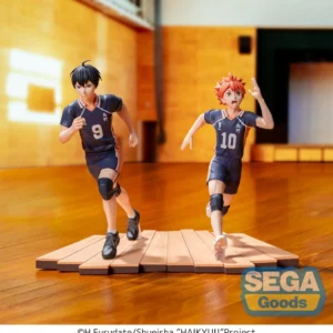Shoyo Hinata Haikyu!! High Premium