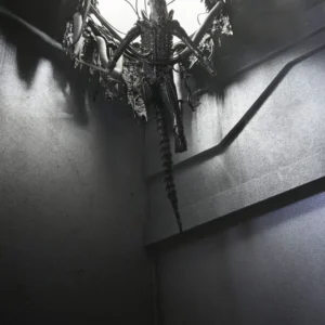 Deluxe Suspended Lab Xenomorph XX121 Alien Romulus